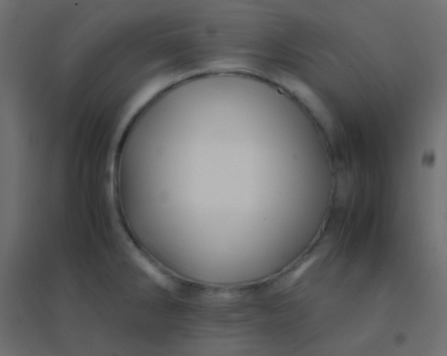 X0000094931286200712131529