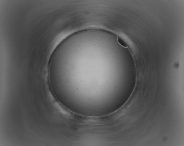 X0000094931287200712131529