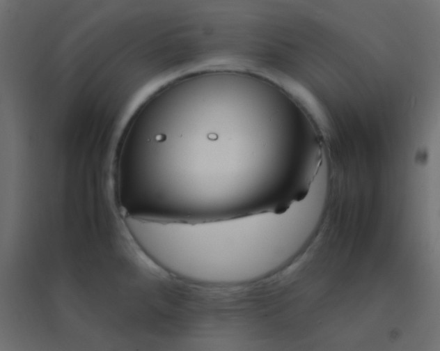 X0000094931288200712131529