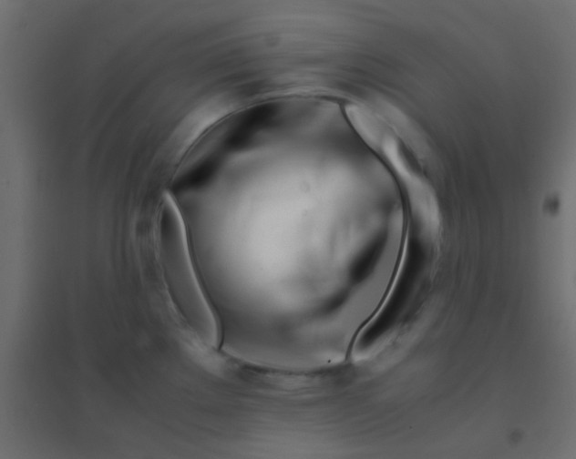 X0000094931289200712131529