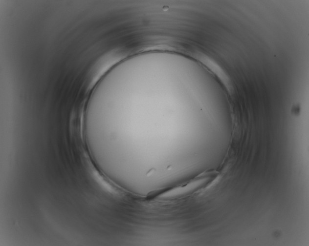X0000094931290200712131529