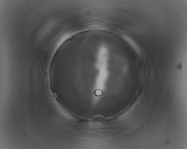 X0000094931291200712131529