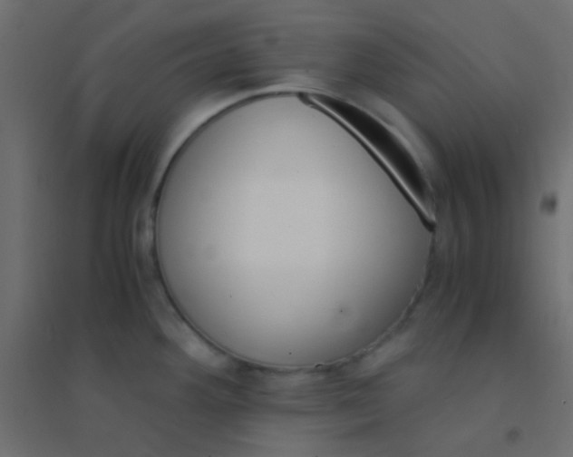 X0000094931292200712131529