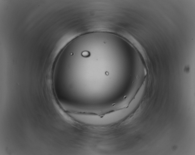 X0000094931293200712131529
