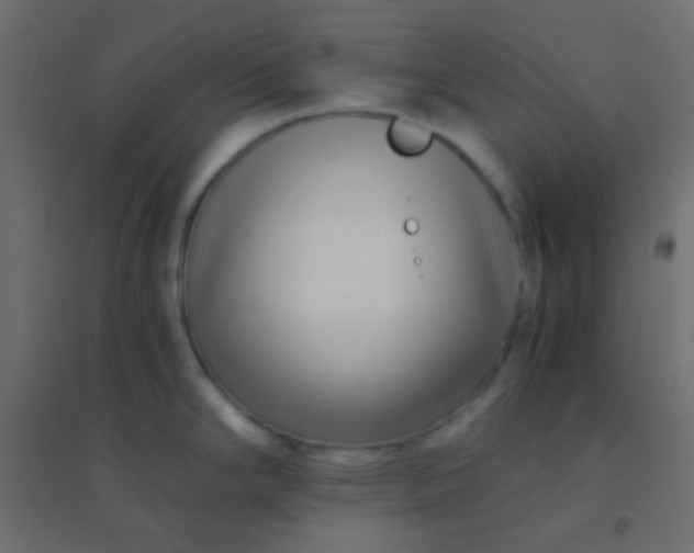 X0000094931294200712131529