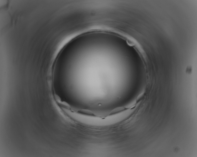 X0000094931295200712131529
