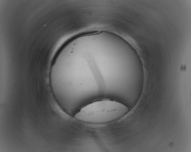 X0000094931296200712131529