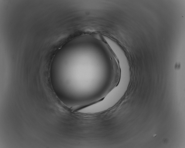X0000094931297200712131528