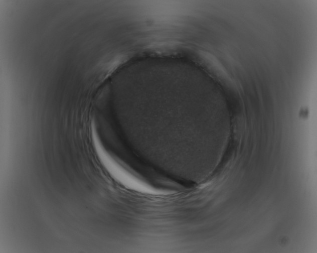X0000094931298200712131528