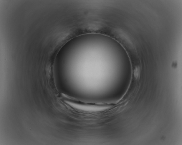 X0000094931299200712131528