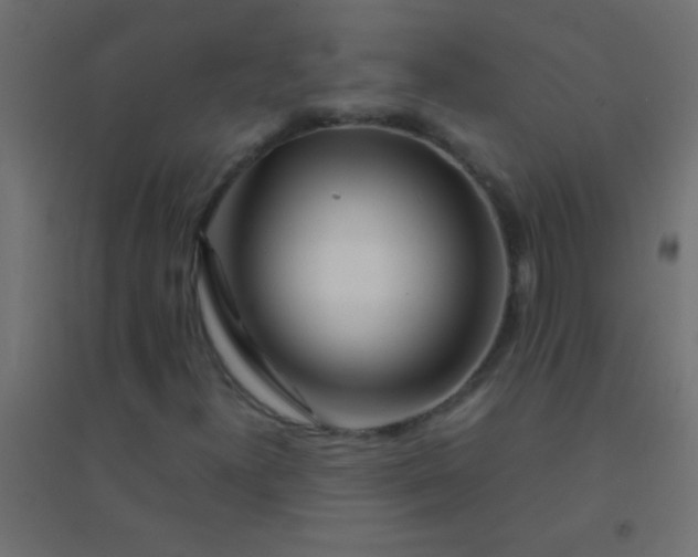 X0000094931300200712131528