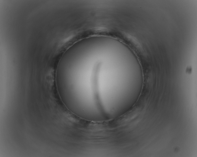 X0000094931301200712131528