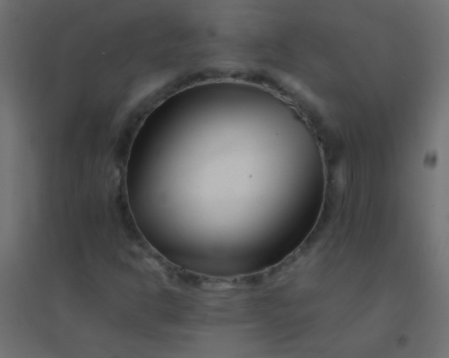 X0000094931302200712131528