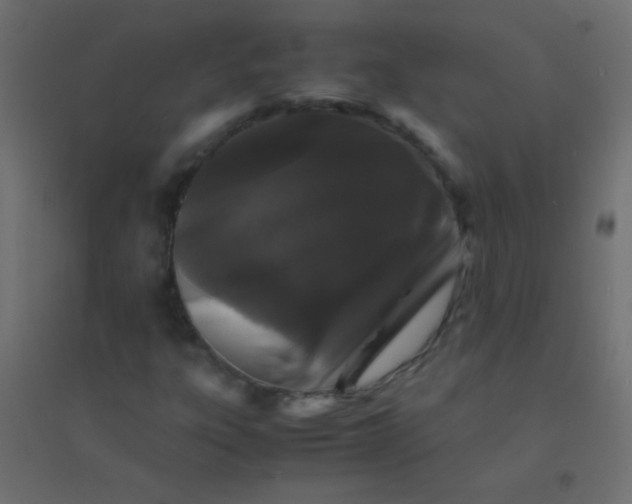X0000094931303200712131528