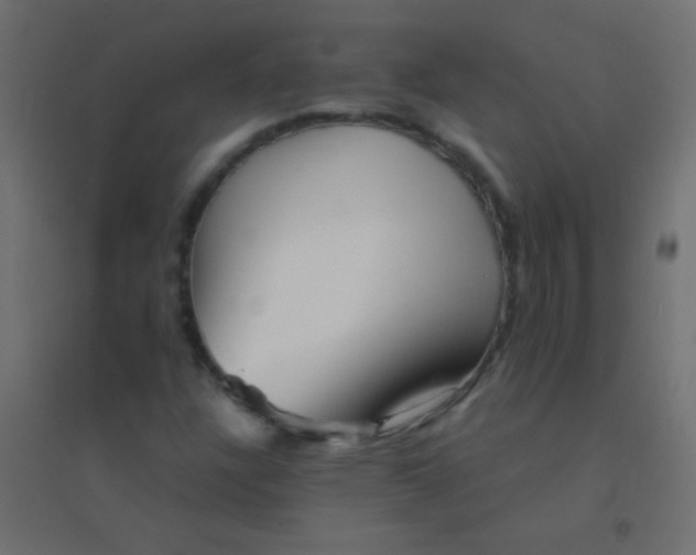 X0000094931304200712131528