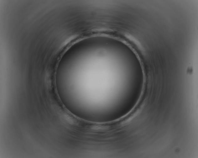 X0000094931305200712131528