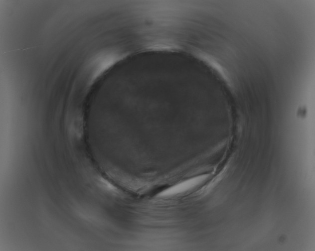 X0000094931306200712131528