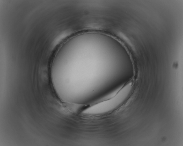 X0000094931307200712131528
