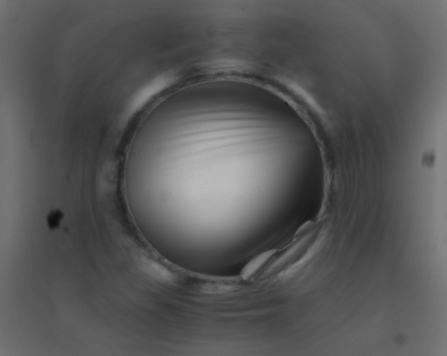 X0000094931309200712131528