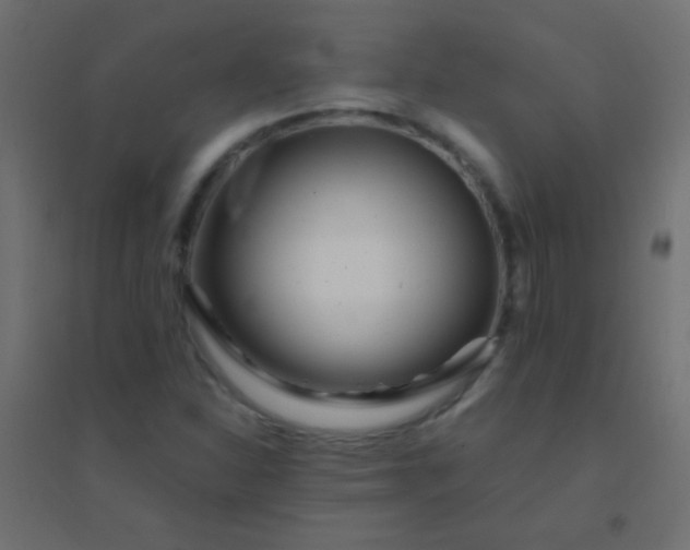X0000094931310200712131528