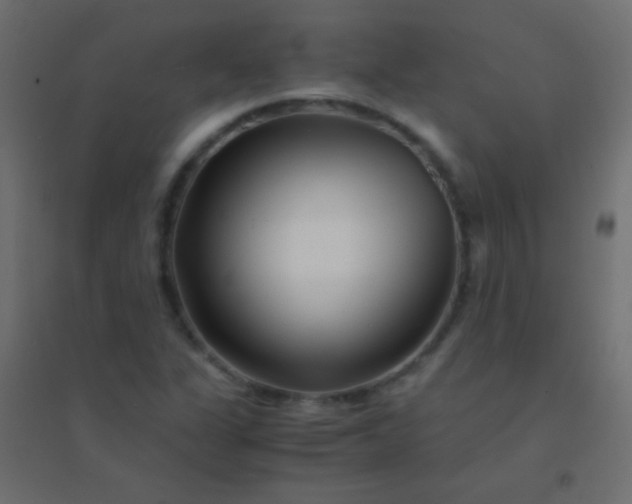 X0000094931311200712131528