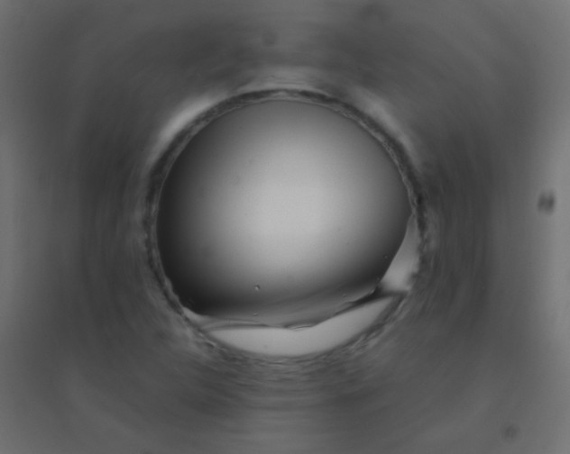 X0000094931312200712131528