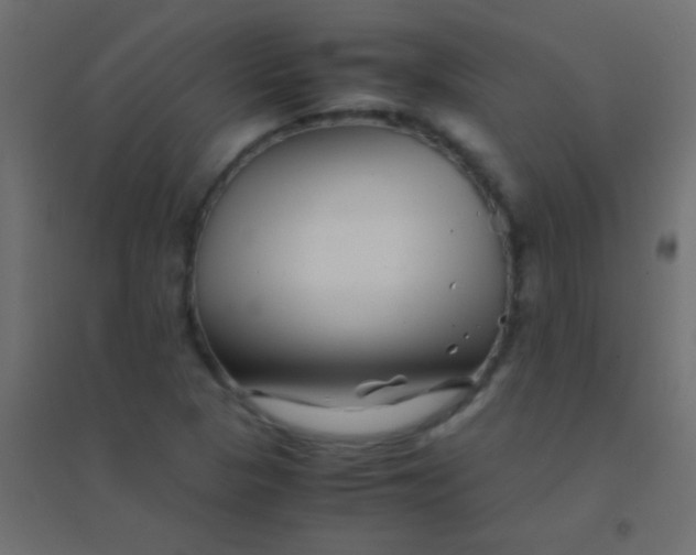 X0000094931313200712131528