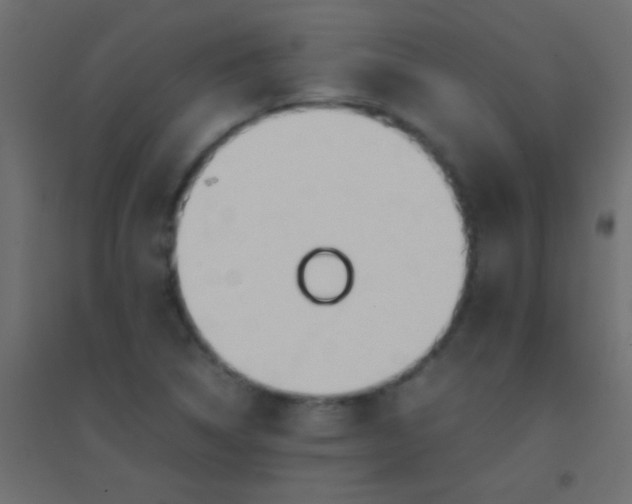 X0000094931314200712131528