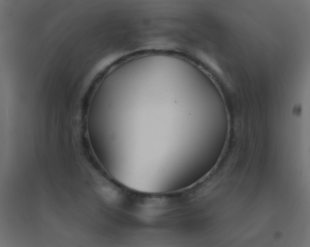X0000094931315200712131528