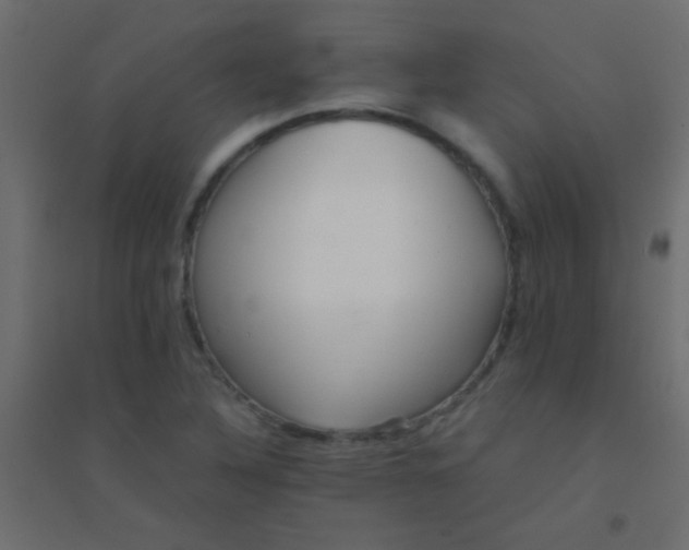 X0000094931316200712131528