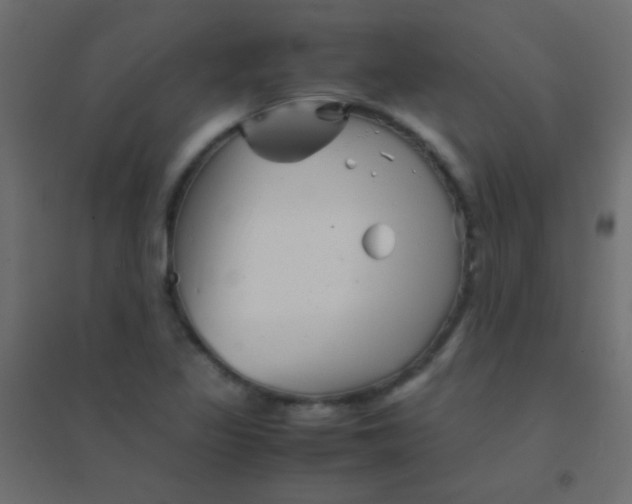 X0000094931317200712131528