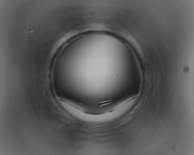 X0000094931318200712131528