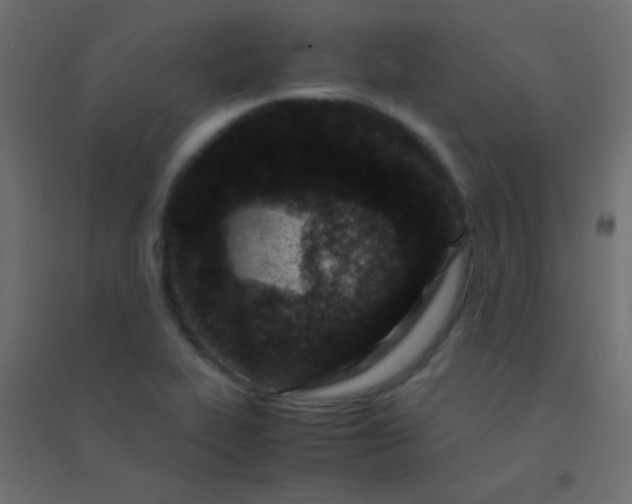 X0000094931319200712131528