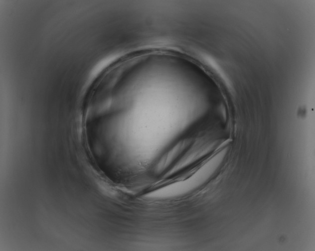 X0000094931320200712131528
