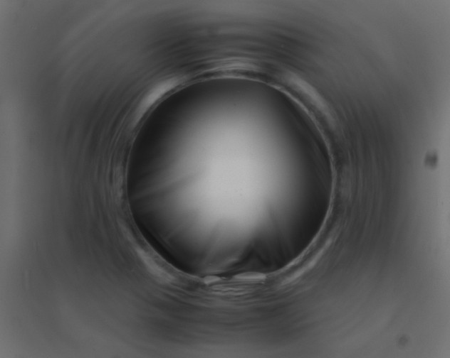 X0000094931321200712131528