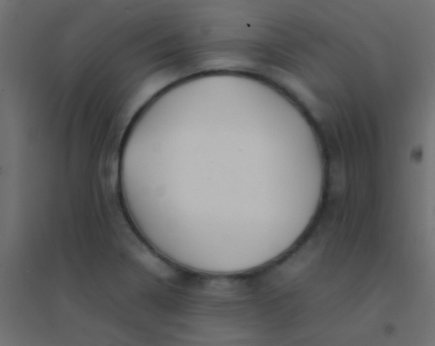 X0000094931322200712131528