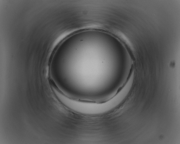 X0000094931324200712131528