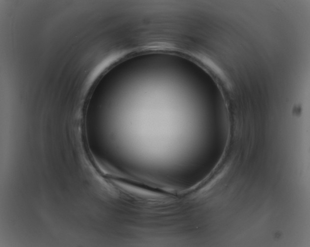 X0000094931325200712131528