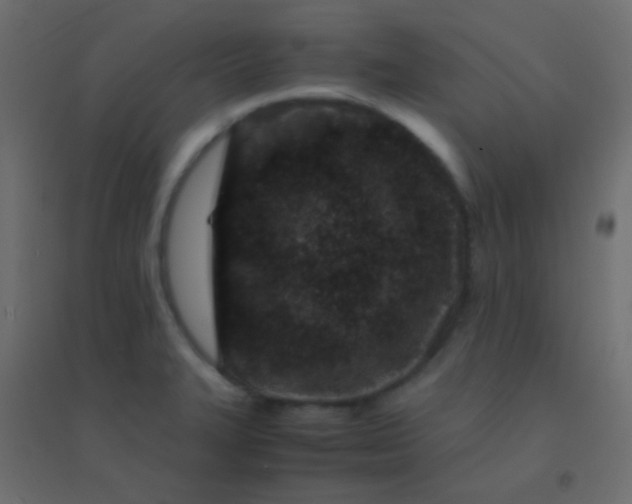 X0000094931327200712131528