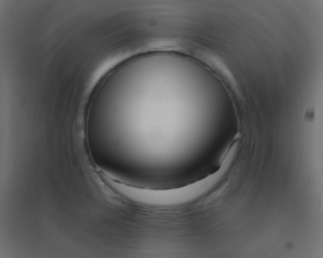 X0000094931328200712131528