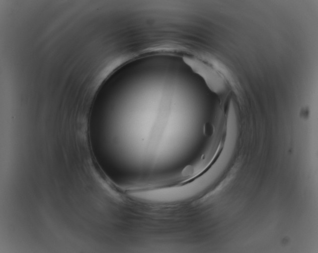 X0000094931329200712131528
