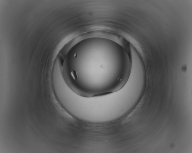 X0000094931330200712131528