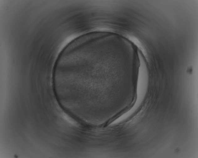 X0000094931331200712131528