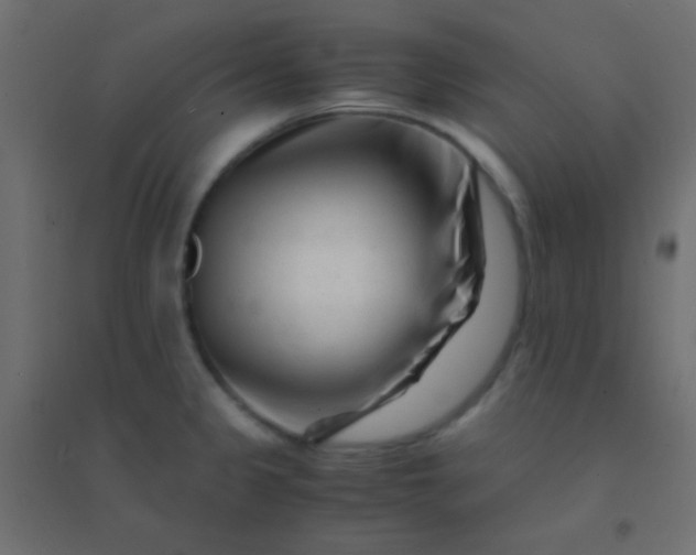 X0000094931333200712131528