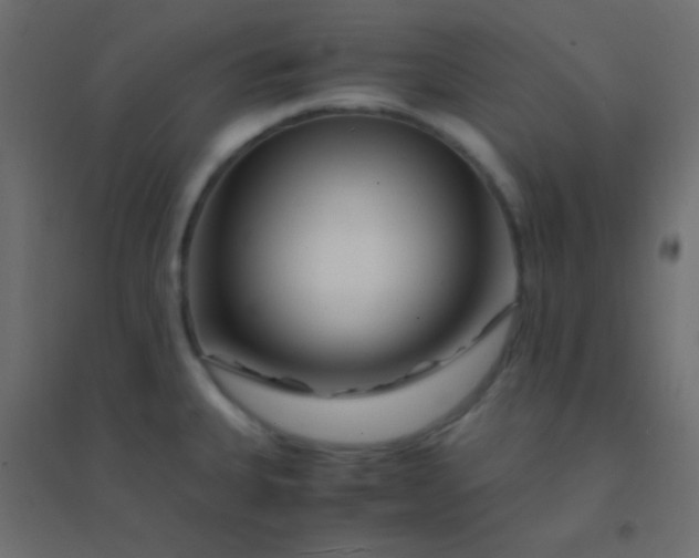 X0000094931335200712131528
