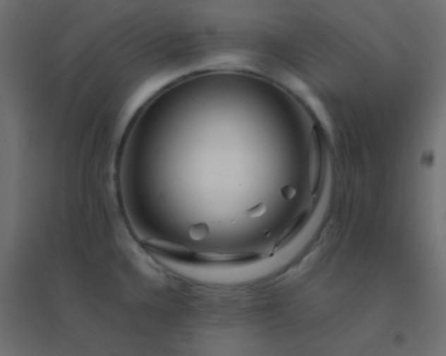 X0000094931336200712131528