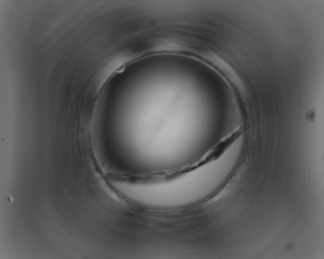 X0000094931337200712131528
