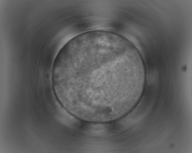 X0000094931338200712131528