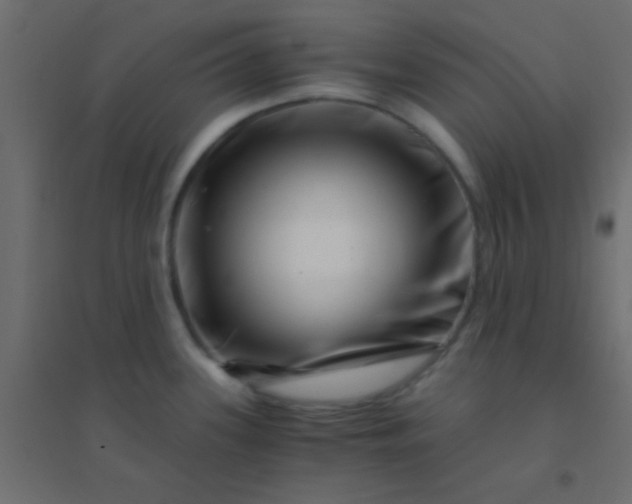 X0000094931339200712131528