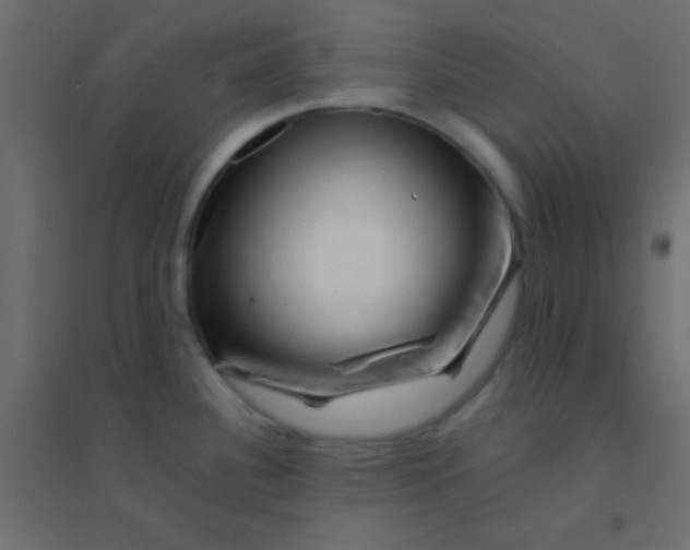 X0000094931340200712131528